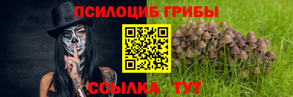 купить  сайты  Псилоцибиновые грибы Psilocybine cubensis  Белово  Вход с VPN  Галлюциногенные грибы мицелий 