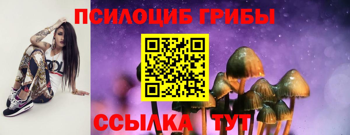 Псилоцибиновые грибы ЛСД Белово